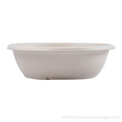 Eco Friendly Disposable & Biodegradable Food Tray